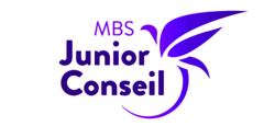 mbs-junior-conseil.com